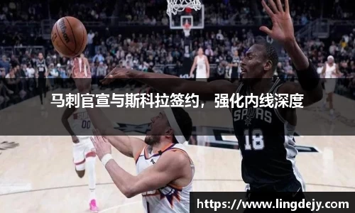 熊猫体育官网