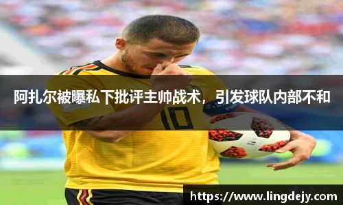熊猫体育官网