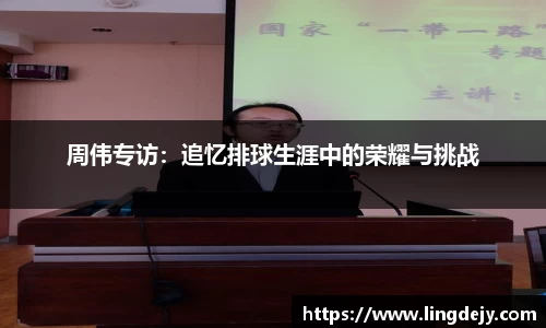 熊猫体育官网