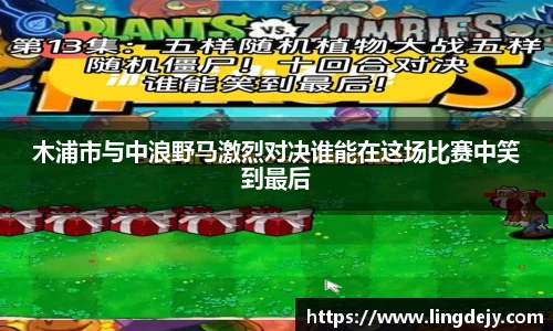 木浦市与中浪野马激烈对决谁能在这场比赛中笑到最后