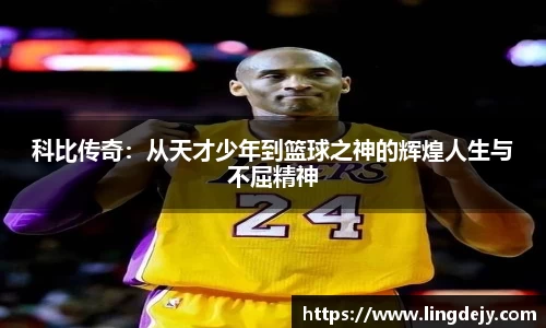 熊猫体育官网