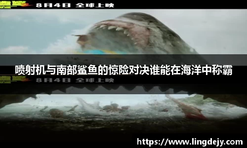 喷射机与南部鲨鱼的惊险对决谁能在海洋中称霸