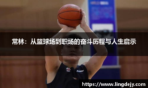 熊猫体育官网