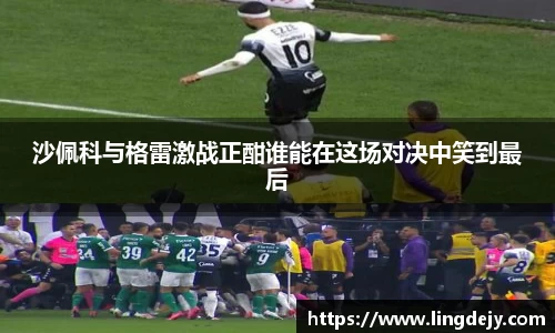沙佩科与格雷激战正酣谁能在这场对决中笑到最后