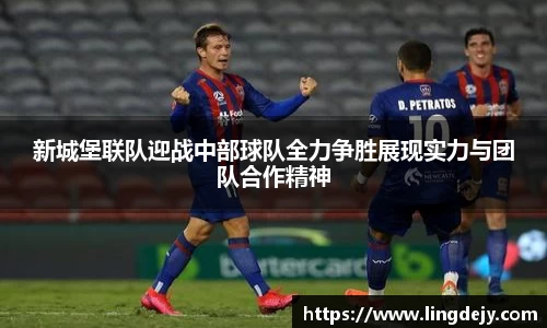 熊猫体育