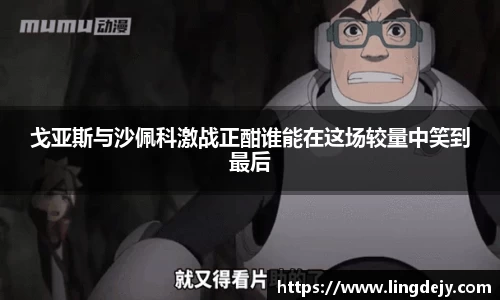 熊猫体育官网