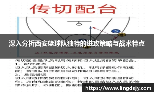 熊猫体育官网