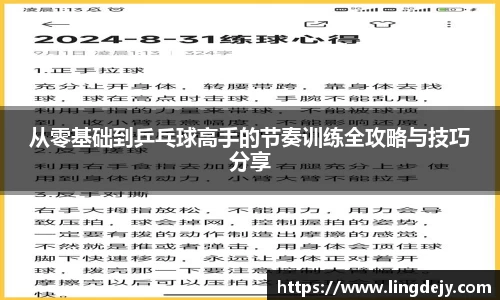熊猫体育官网