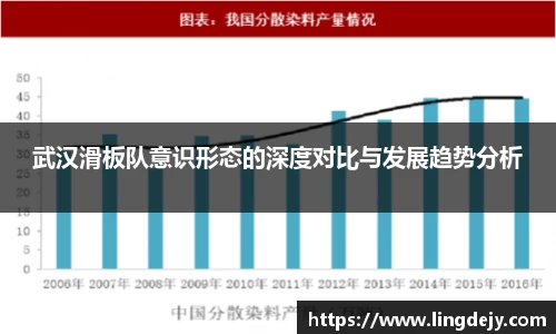 武汉滑板队意识形态的深度对比与发展趋势分析